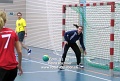 21163 handball_silja